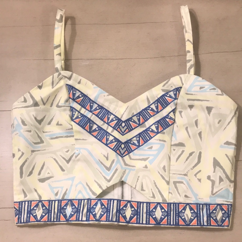 Jealous Tomato Small Aztec Embroidered Crop Top Festival